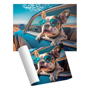 Rompecabezas de Perro 1000 Piezas | Cilindro Coleccionable | Novelty