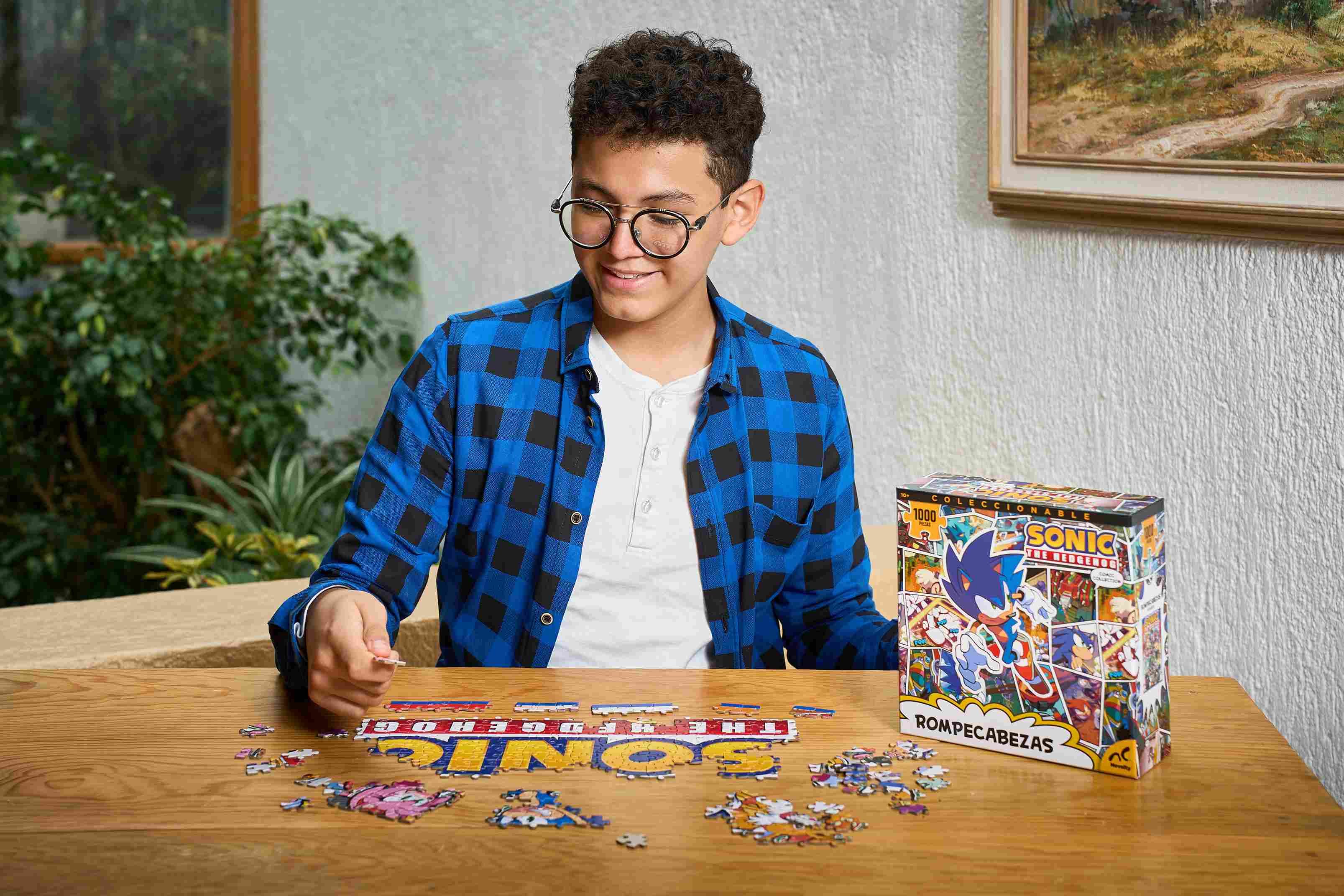 Rompecabezas Sonic Coleccionable 1000 Piezas | Diseño Arcade Pixelado