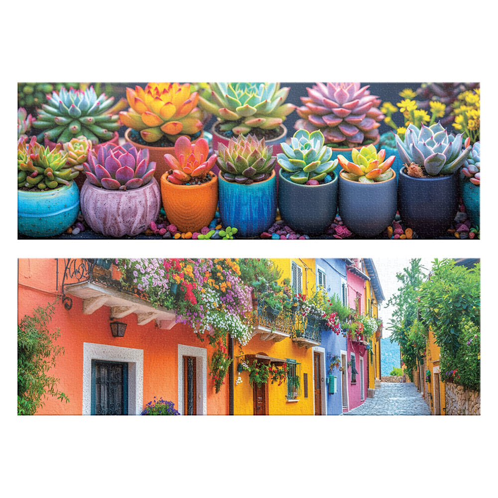 Rompecabezas Novelty Panorámico Suculentas 2 Pack 1000 Piezas