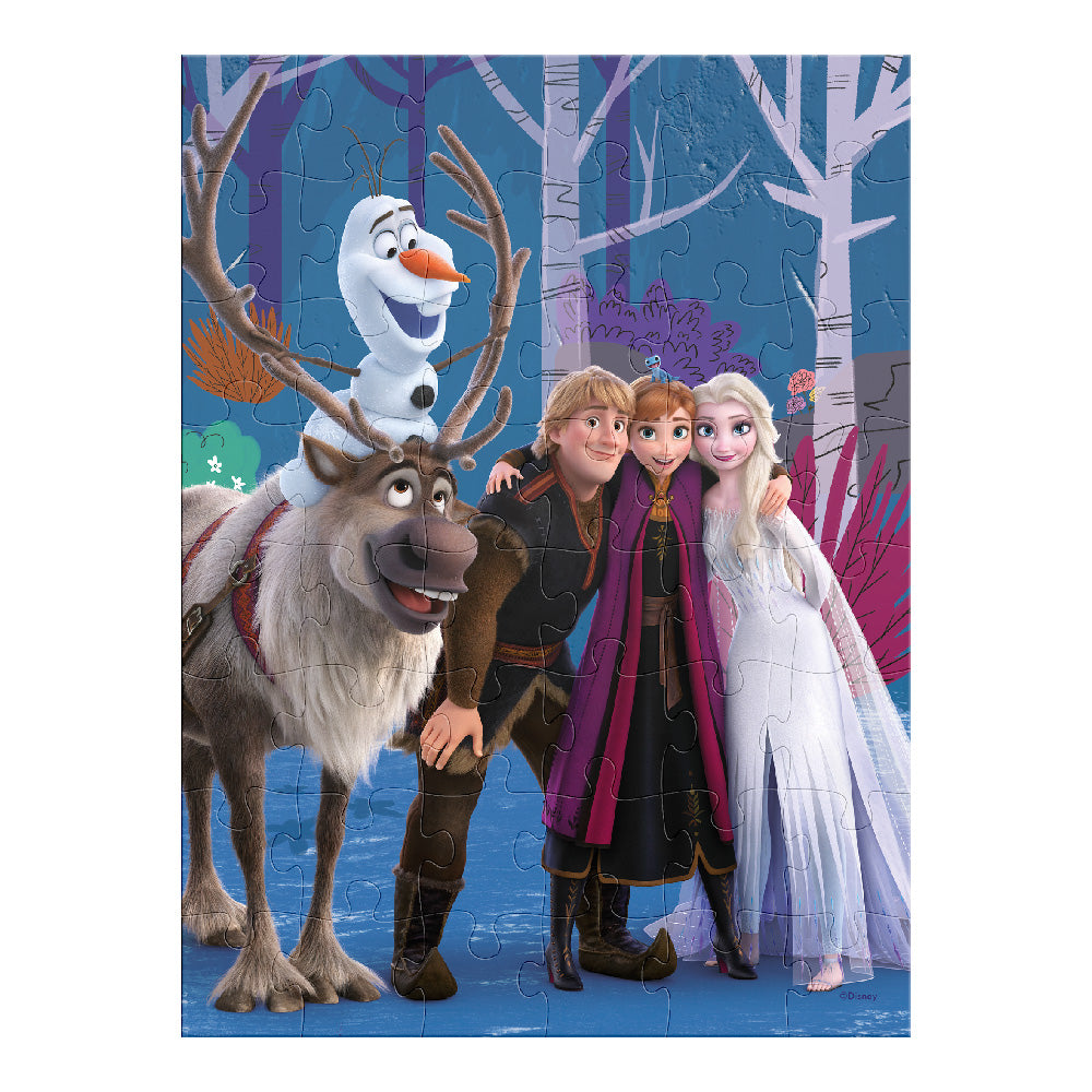 Rompecabezas en Bolsa Metalizada para Niños de Frozen - Novelty Corp.
