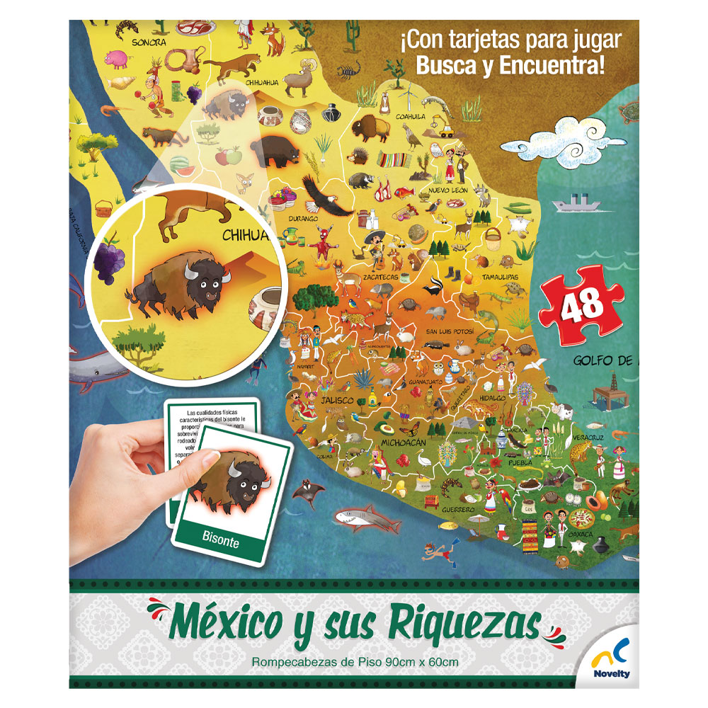 Rompecabezas piso republica mexicana