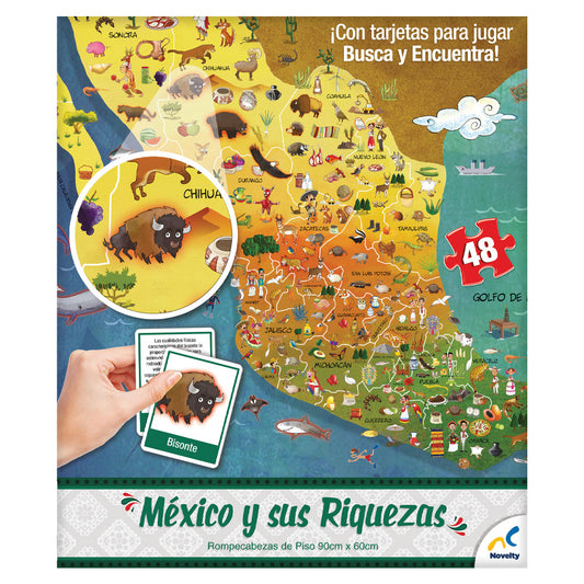 Rompecabezas piso republica mexicana