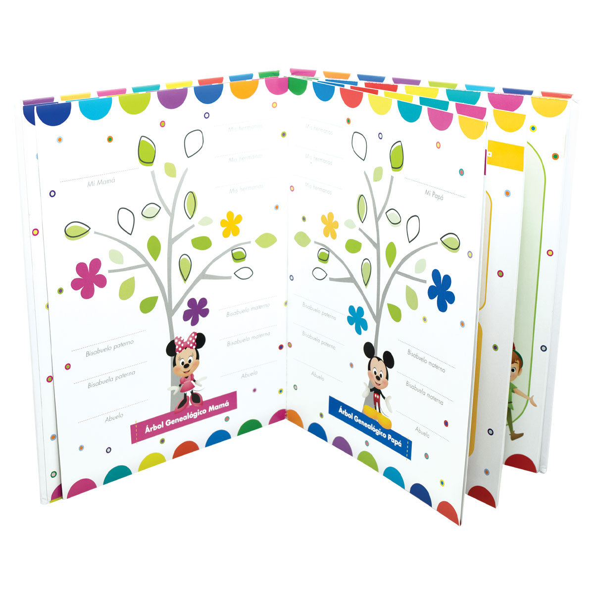 Mi primer año disney basico